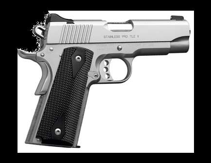 KIMBER PRO TLE II 45ACP PSTL STS - Kimber