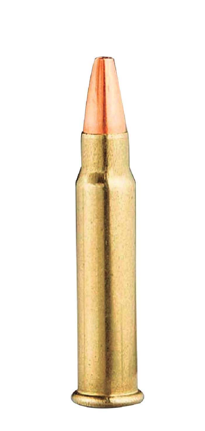 Aguila Ammunition .17 HMR Rifle Ammo - 20 Grain | Jacketed Hollow Point | 1000rd Case - Aguila