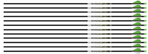 EASTON ARROW AXIS 5MM 300 SHAFTS 1-DOZEN MATCH GRADE - Easton