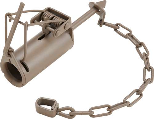 DUKE TRAPS DP COON TRAP CASE OF 12 - 