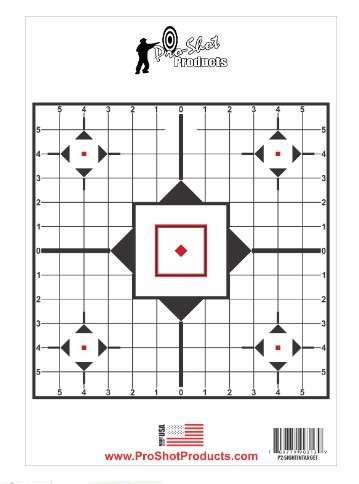 PS P2-SightInTarget 31 14 - Pro-shot