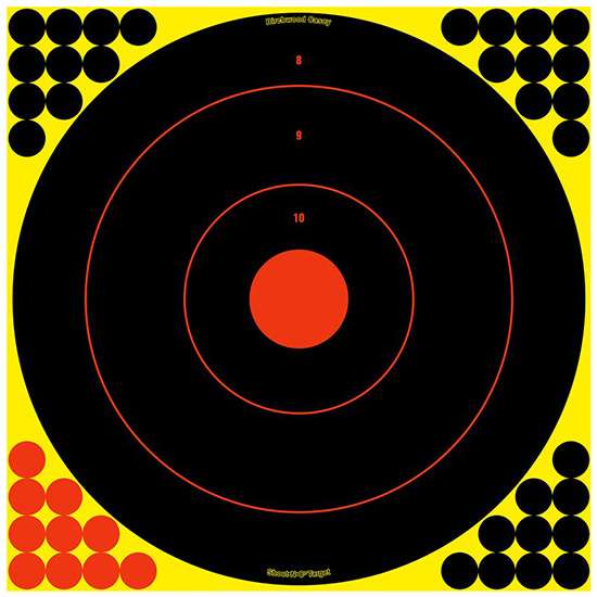 Birchwood Casey Long Range Bullseye Target