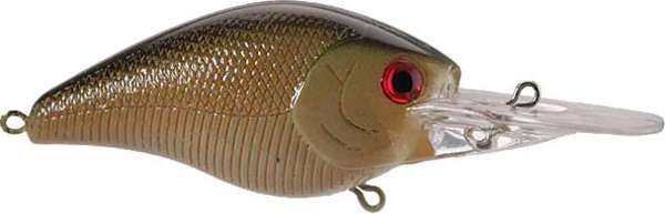 LS AO G-5 3" 3/8OZ TENN SHAD - True North Fishing
