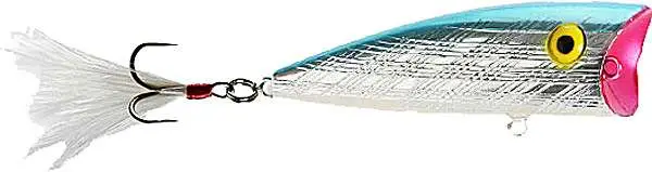 REB POP'R 1/4 2.5"-CHRM/BLUE - Rebel