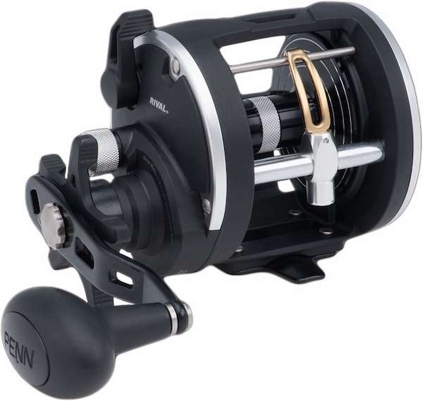 PENN RIVAL 15 LW 2BB 5.1 CAST - Penn Fishing Tackle