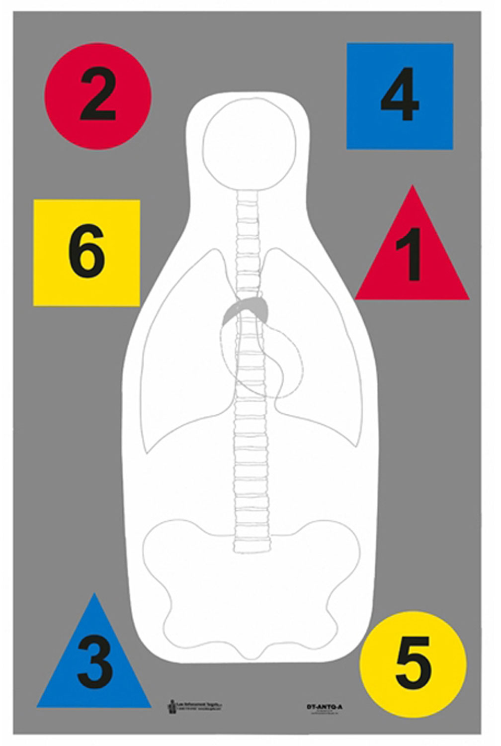 Action Target DTANTQA100 Muli-Purpose Anatomy and Command Silhouette Paper Target 23