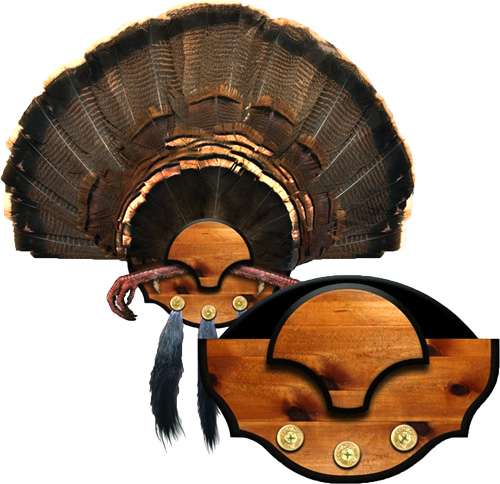 MOUNTAIN MIKE'S BEARD MASTER TURKEY PLAQUE KIT - Mountain Mike's