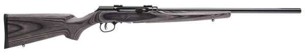 Savage 47006 A17 Target Sporter 17 HMR 10+1 22" Gray Black Right Hand-img-0