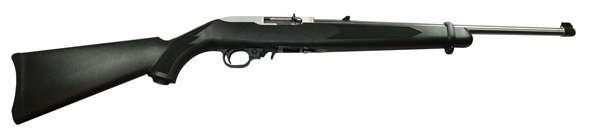 Ruger 1256 10/22 Carbine 22LR 10+1 18.5" Satin Stainless Black 736676012565-img-0