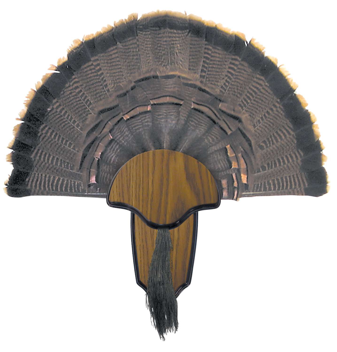 Hunters Specialties 00849 Turkey Tail/Beard Mount Range USA