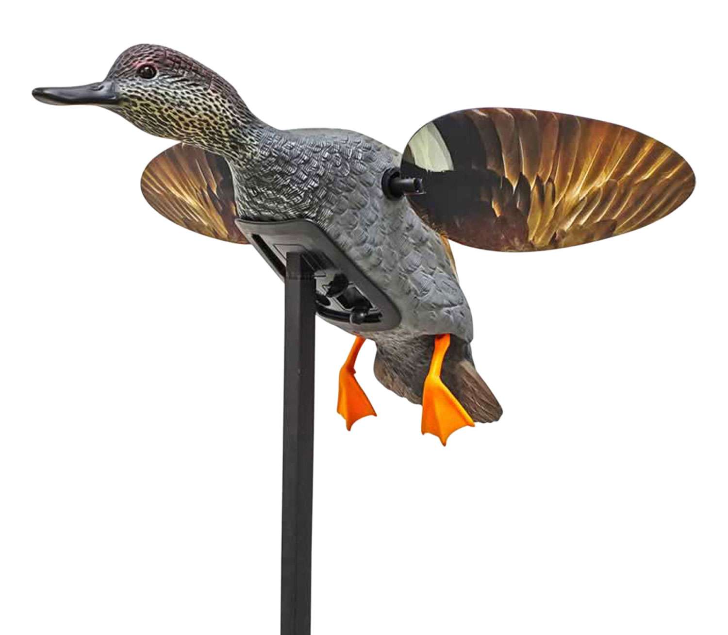 Mojo HW2473 Elite Series Gadwall Motion Decoy w/Stand Larry's Pistol & Pawn