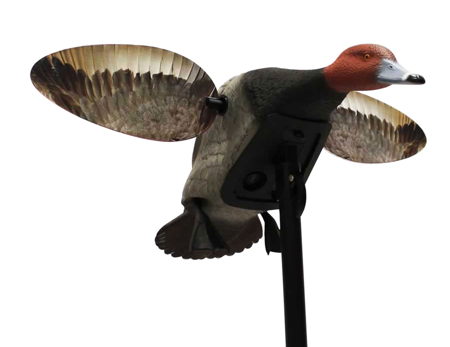 Mojo HW2492 Elite Series Diver Redhead Decoy Range USA