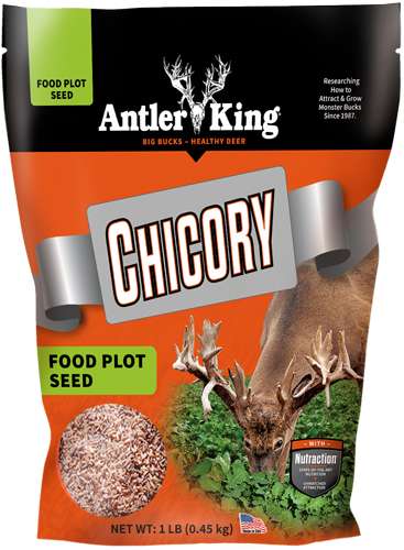 ANTLER KING CHICORY 1# BAG PERENNIAL 1/4 ACRE - Antler King