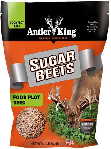 ANTLER KING SUGAR BEETS 1# BAG ANNUAL 1/8 ACRE - Antler King