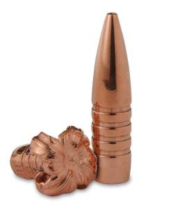 Barnes Bullets 30615 TSX458 Caliber .458 300 GR TSX Flat Base 20 Box